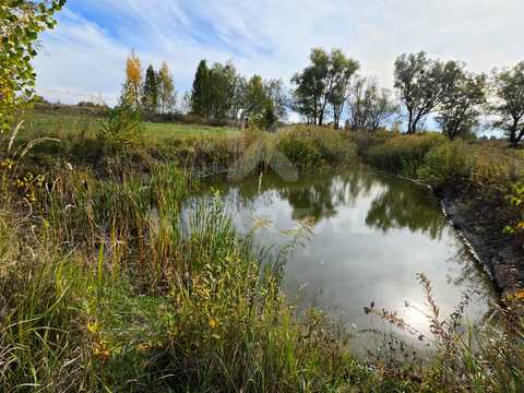 участок по адресу Шкільна, 48