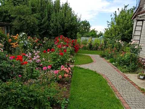 будинок за адресою с. Дударків, Шевченка, 11