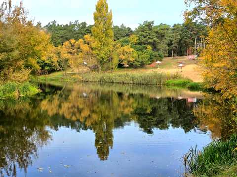 ділянка за адресою с. Острів, Ярослава Мудрого