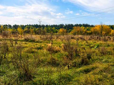 ділянка за адресою с. Острів, Ярослава Мудрого