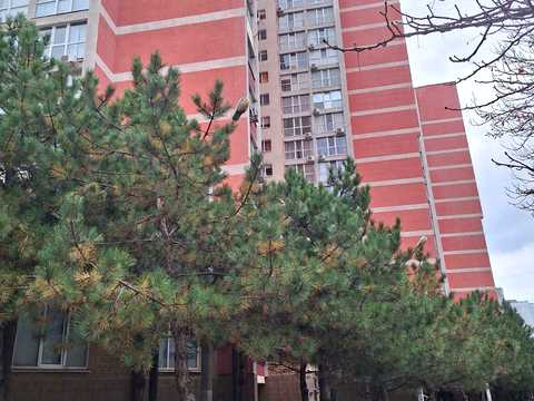 квартира за адресою Захисників України вул. (1-го Травня), 19