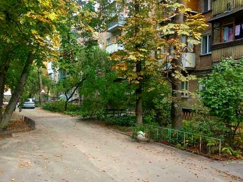 квартира по адресу Салютная ул., 19
