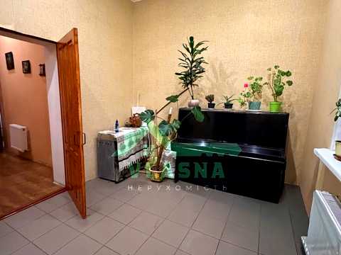 дом по адресу с. Великий Дальник, Калініна, 54