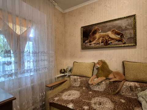 дом по адресу Чудова ул., 48