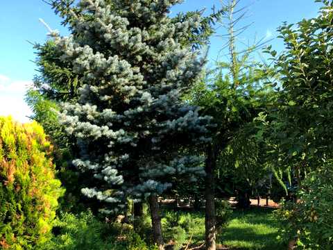 будинок за адресою Вільський Шлях вул.
