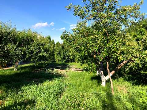 будинок за адресою Вільський Шлях вул.