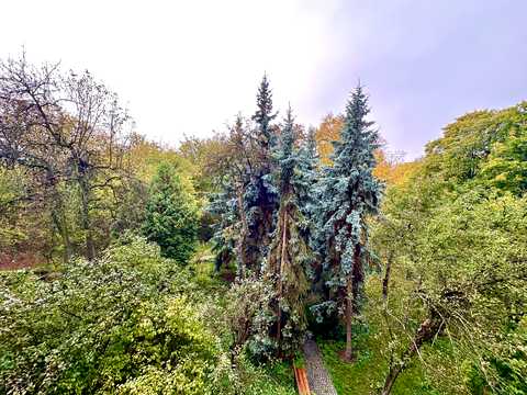 квартира по адресу Ивана Мазепы ул. (Січневого Повстання), 26А