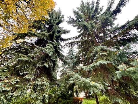 квартира по адресу Ивана Мазепы ул. (Січневого Повстання), 26А