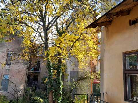 квартира за адресою Городоцька вул., 101