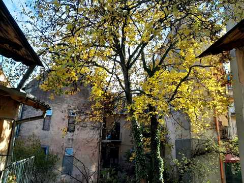 квартира за адресою Городоцька вул., 101