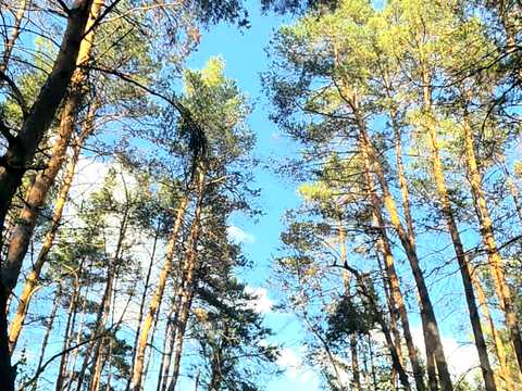 будинок за адресою с. Мала Кохнівка, Озерна, 12