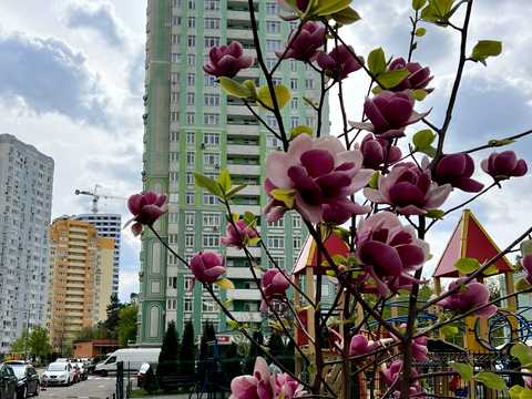 квартира за адресою Воскресенська вул., 12-А