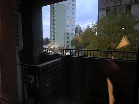 квартира за адресою Академіка Янгеля вул. (Фрунзе), 54