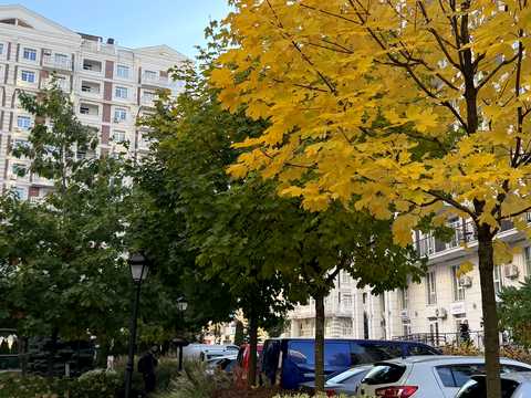 квартира за адресою Михайла Максимовича вул. (Онуфрія Трутенка), 24-В