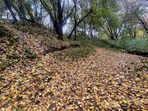 квартира по адресу Лысогорский пер., 20