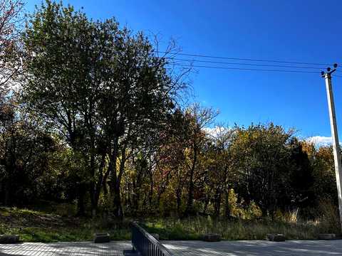 квартира по адресу Щирецкая ул., 23