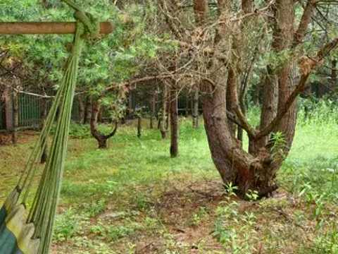 дом по адресу с. Петрушки, Дзвінкова, 29