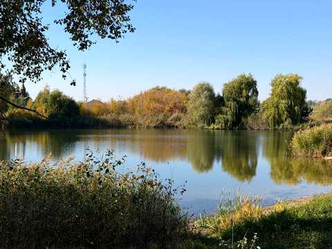 ділянка за адресою Джерельна вул.