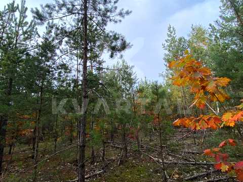 ділянка за адресою Кільцева, 2-а
