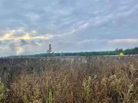 ділянка за адресою с. Червона Слобода, 