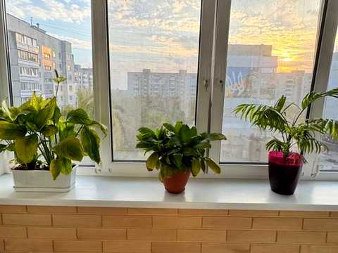 квартира за адресою Черкаси, Максима Залізняка вул. (Громова), 29/5