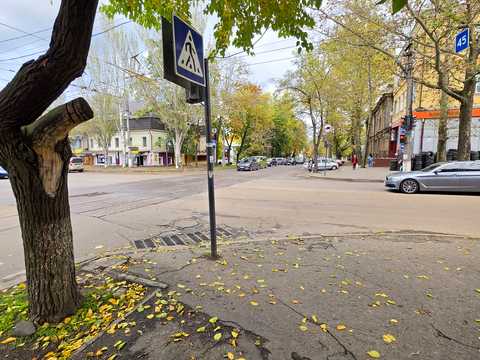 комерційна за адресою Миколаїв, Аркасівська вул. (Пушкінська), 17