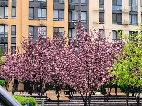 квартира за адресою Салютна вул., 2к1