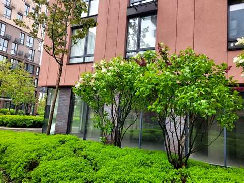 квартира за адресою Салютна вул., 2к1