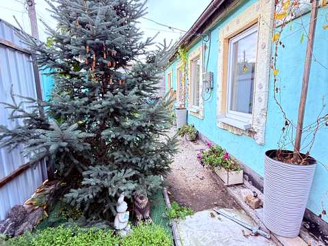 будинок за адресою Дніпро, Василя Регея вул. (Сєченова)