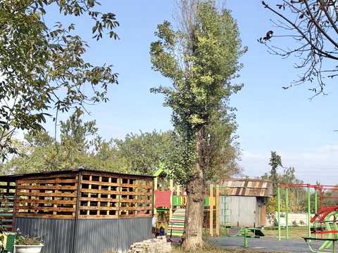 квартира по адресу Петра Калнышевского ул. (Харитонова), 20