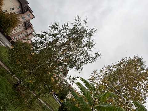 квартира по адресу Боголюбова ул., 5