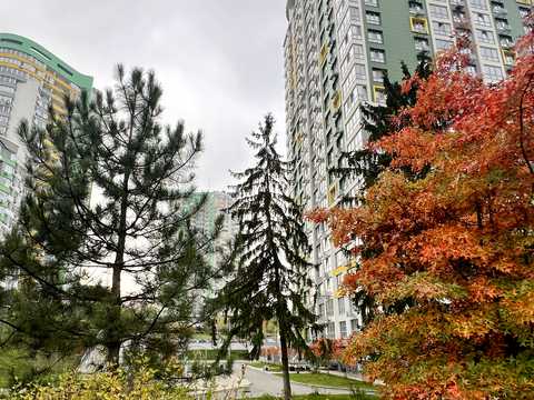 квартира за адресою Вишгородська вул., 45-Ж