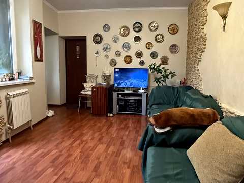 дом по адресу Владимира Винниченко ул. (Різдвяна)