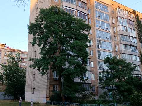 квартира за адресою Оболонський просп., 15-А