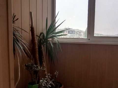 квартира за адресою Одеса, Семена Палія вул. (Дніпропетровська дорога), 109/2