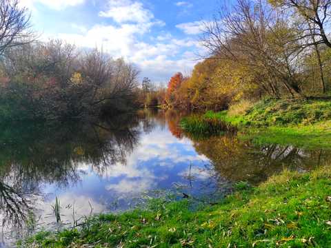 будинок за адресою с. Олександрія, Сонячна, 10