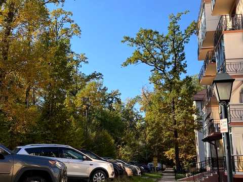 квартира по адресу Академіка Ромоданова ул. (Льва Толстого), 54