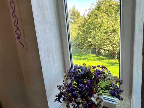 будинок за адресою Вишгородська, 5
