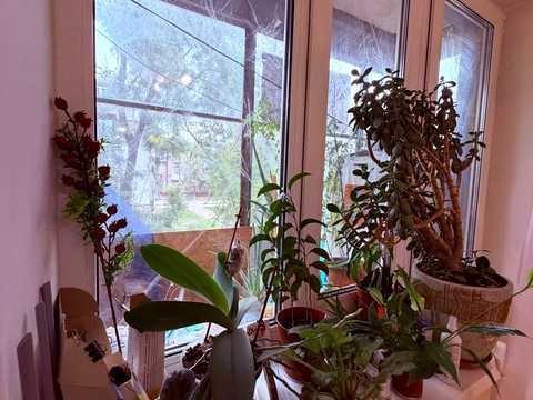 квартира по адресу Вроцлавська ул., 11