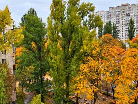 квартира по адресу Зодчих ул., 36
