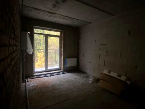 1880008117381330