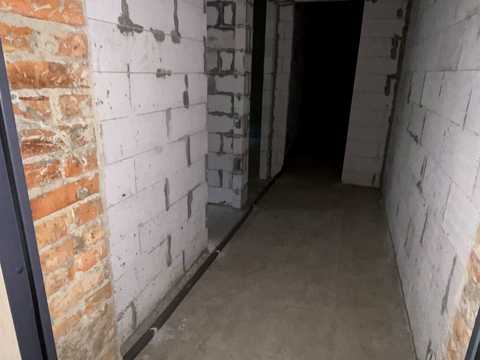 1880008654169237