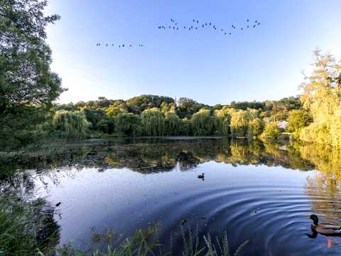 квартира по адресу Генерала Кульчицького ул., 2