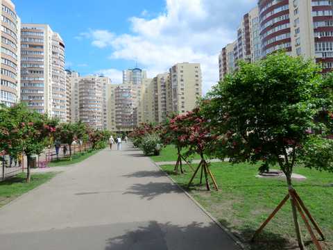 квартира за адресою Миколи Руденка бульв. (Кольцова), 14-Б