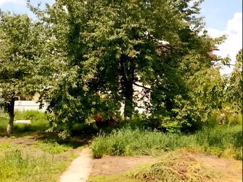 участок по адресу Луговая ул.