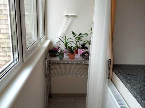 квартира за адресою с. Лісне, Лісна, 9