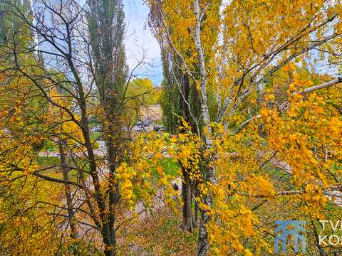 квартира за адресою Олега Мудрака вул. (Генерала Наумова), 31
