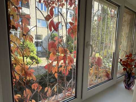 квартира за адресою Сельських вул., 7