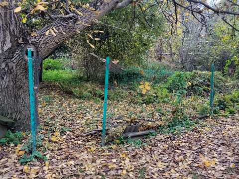 дом по адресу Киев, Павла Глазового ул. (Григорія Онискевича), 2