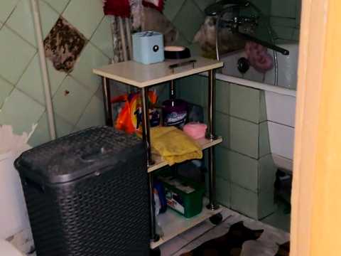 квартира за адресою Познанська вул., 8